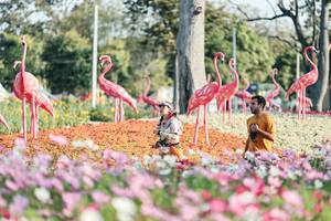 BIB: 
                            <button type="button" onclick="openModal(27344206)" class="btn btn-primary btn-sm float-right btn-popup" data-toggle="modal" data-target=".modal-high-quality">
                        <i class="fas fa-shopping-cart"></i> Add to Cart
                    </button>
                                            <button type="button" onclick="isThisMe(27344206, true)" class="btn btn-success btn-sm float-right btn-popup btn-isme hidden" data-toggle="tooltip" data-placement="bottom" title="นี่คือรูปของคุณใช่ไหม คลิกที่นี่เพื่อเอาเข้าอัลบั้ม">
                        <i class="fas fa-plus"></i> Add to album
                    </button>
                    <button type="button" onclick="isThisMe(27344206, false)" class="btn btn-warning btn-sm float-right btn-popup btn-isnotme hidden">
                        <i class="fas fa-ban"></i> Remove from album
                    </button>